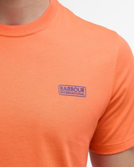 Small Logo T-Shirt