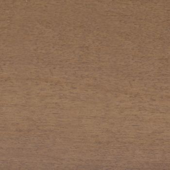 Wooden panel with fine horizontal grain and light brown stain; occupying the frame, showing uniform texture and minor blemishes; close-up, evenly lit surface without other objects or visible surroundings.