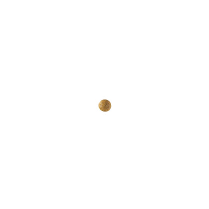 Pediatric junior large dog kibble