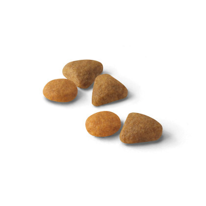 Savour Exigent kibble