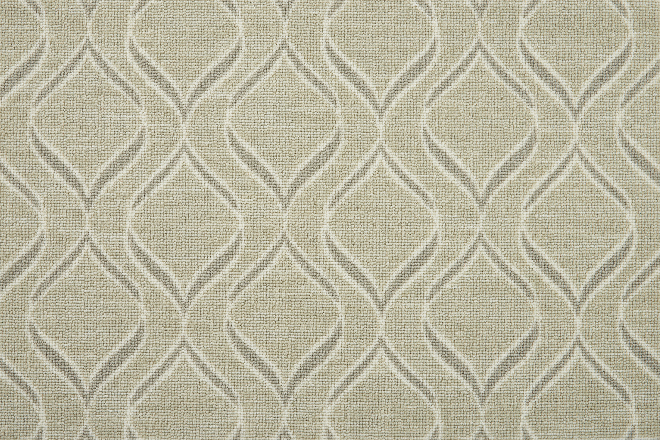 color-rug1