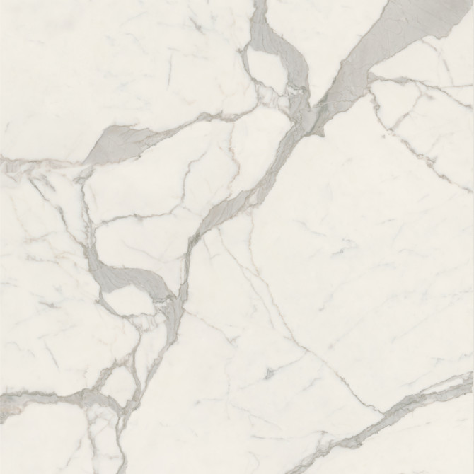 Maggiore White 48×48 Slab Polished Rectified