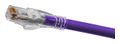Copper Patch Cables 1 ft. Purple RJ-45 Cat 6A
