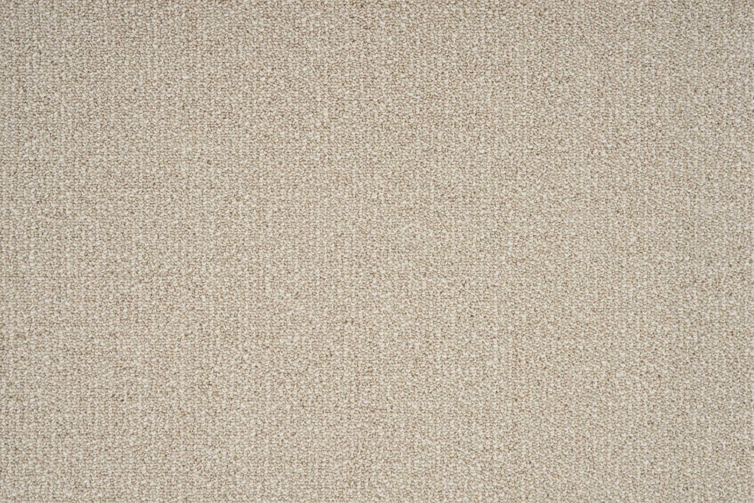 color-rug1