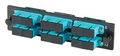 OptiMo® OFP Adapter Panel 6-SC Duplex (12 fibers) Multimode Aqua