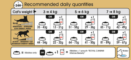 Norwegian Forest feeding guide
