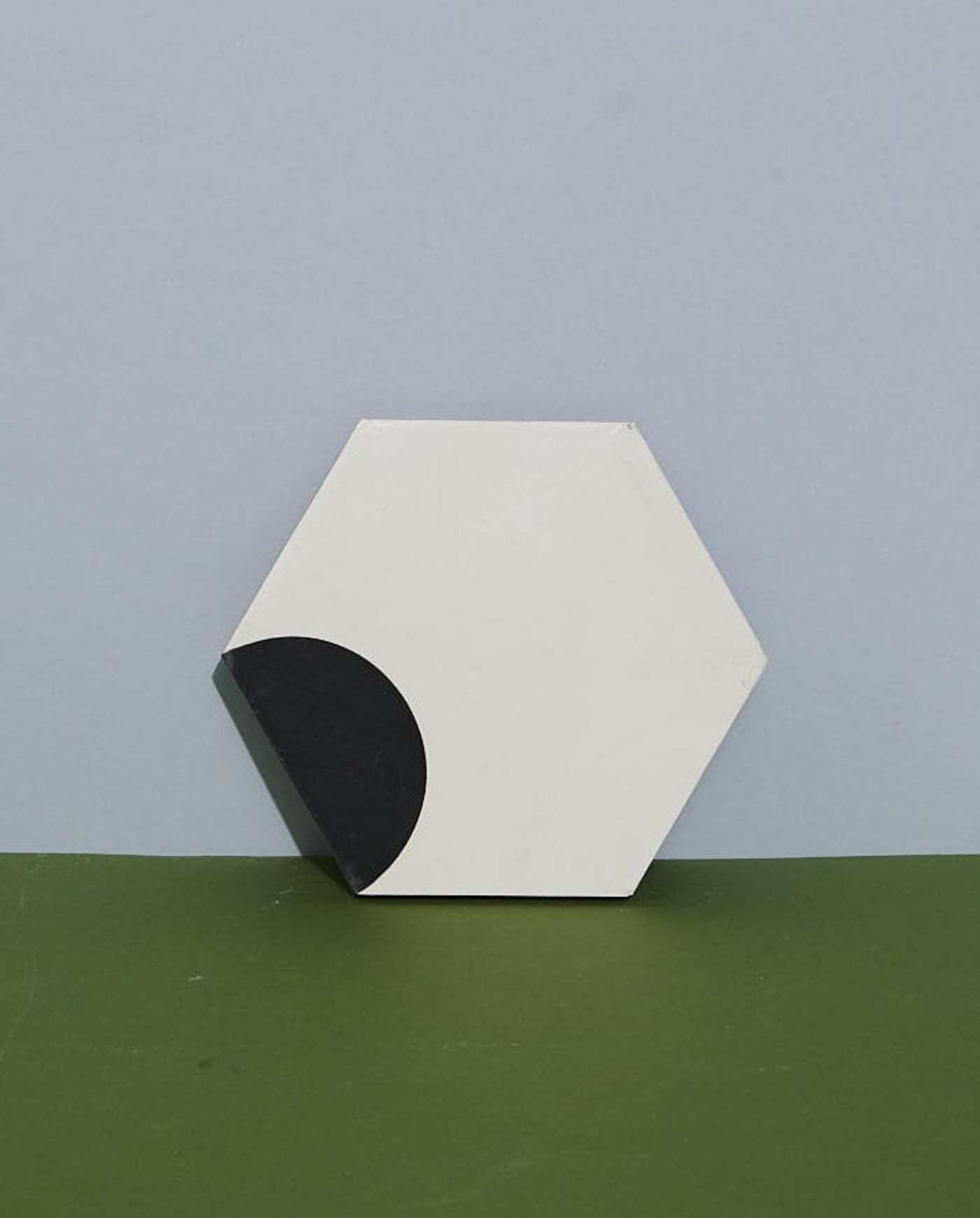 a black and white hexagonal tile on a green surface.