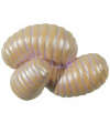s--4BE5EGlG--/saxmounscm6xu3exfbfl.jpg