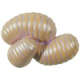 s--4BE5EGlG--/saxmounscm6xu3exfbfl.jpg