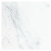 Fine Mosaic Works Asian Carrara Ultra Premium Polished 12×12 Field Tile Polished