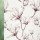 Sweetbay 1351 Roller Blind