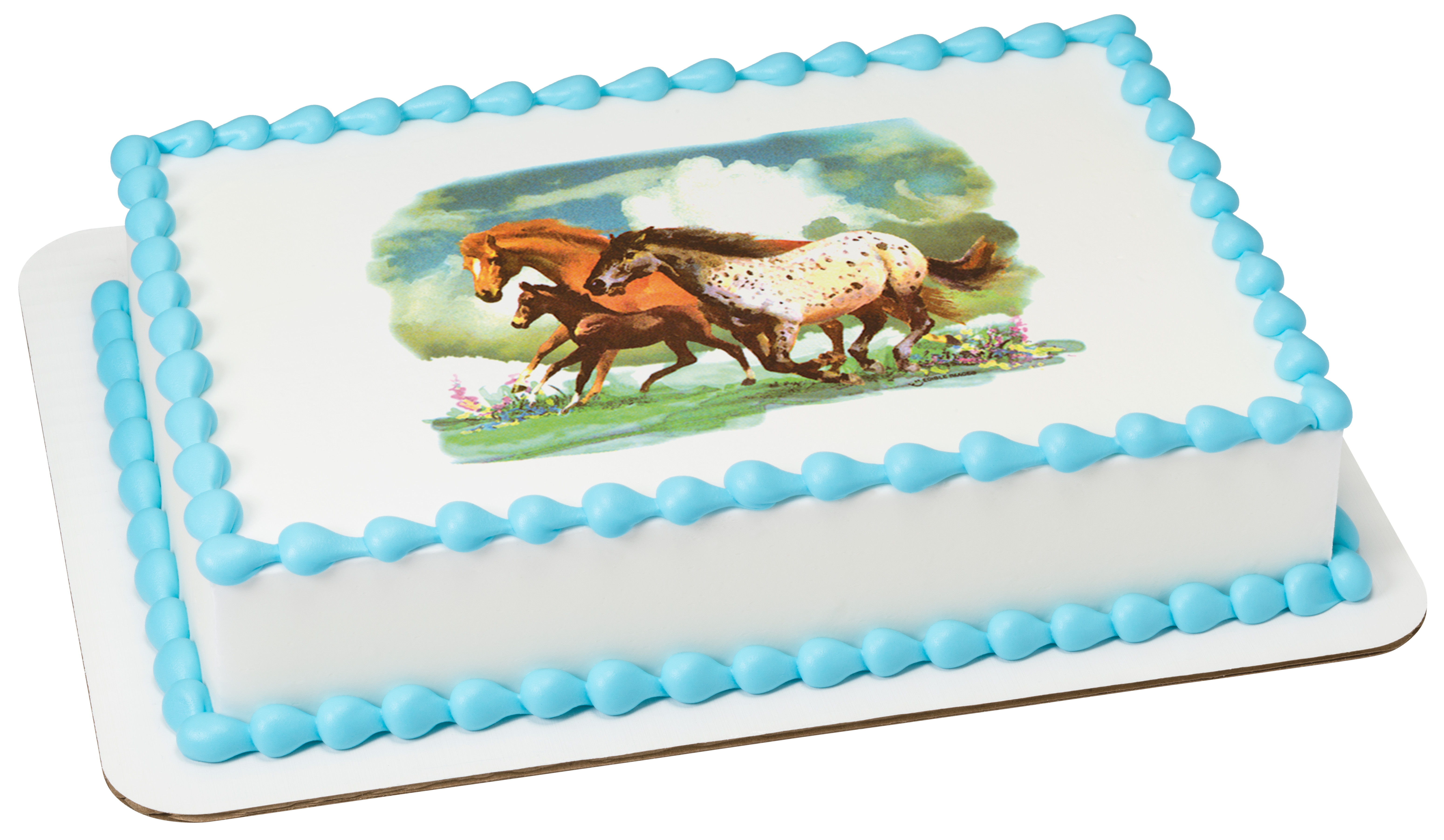 Wild Horses Edible Image® DecoPac