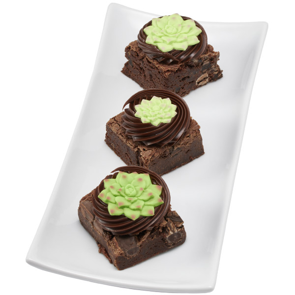 Succulents Sweet Décor® Edible Decorations