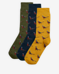 Pheasant Socks Gift Set Forest Mist