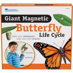 Giant Magnetic Butterfly Life Cycle, Set of 9