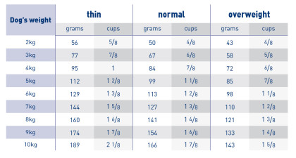 Dental special small dog under 10kg feeding guide