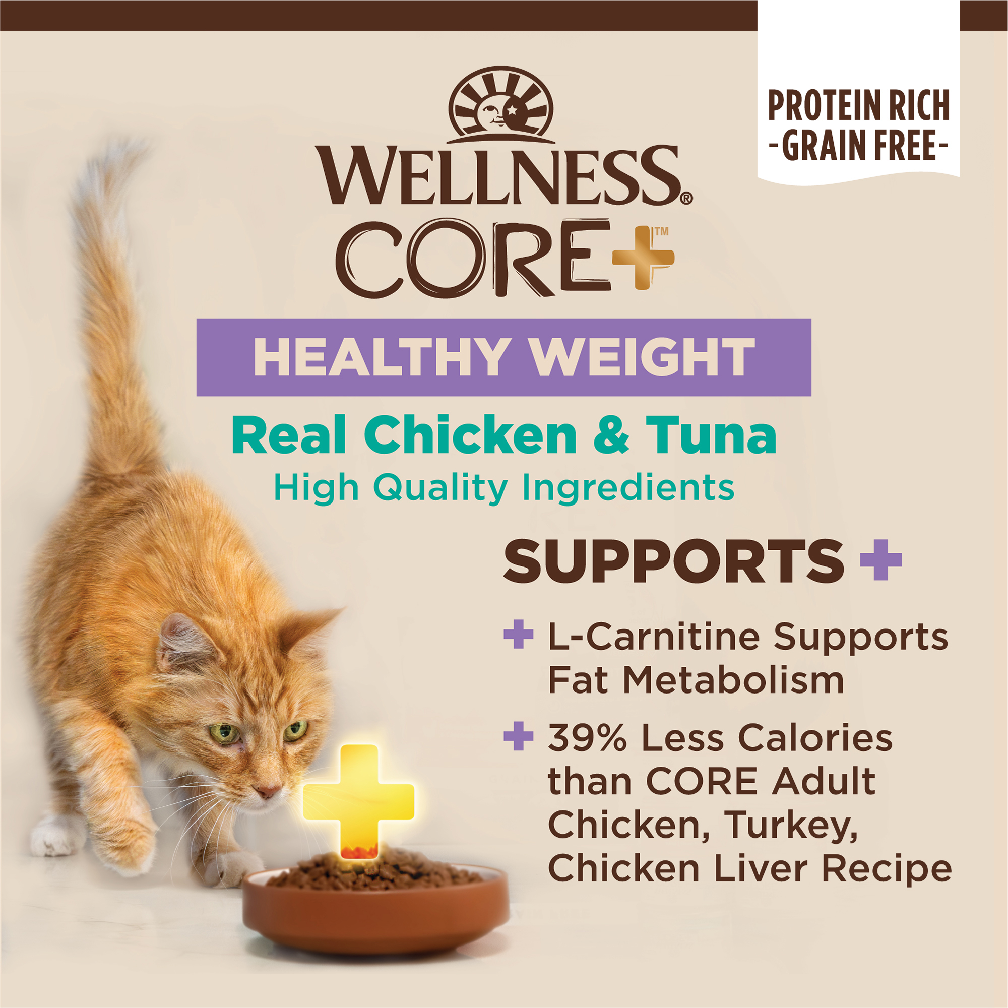 Wellness CORE+ Healthy Weight Chicken & Tuna
