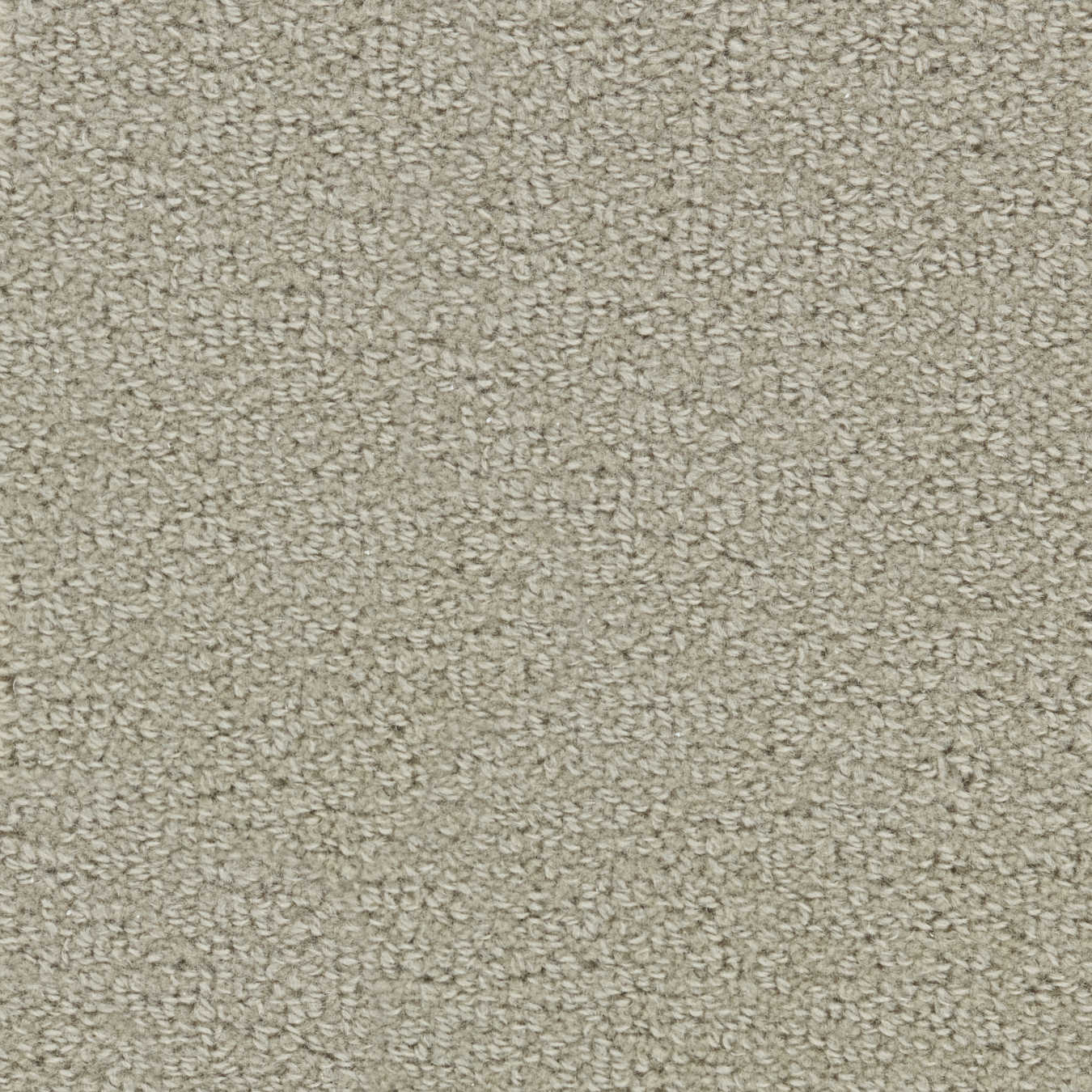 color-rug1