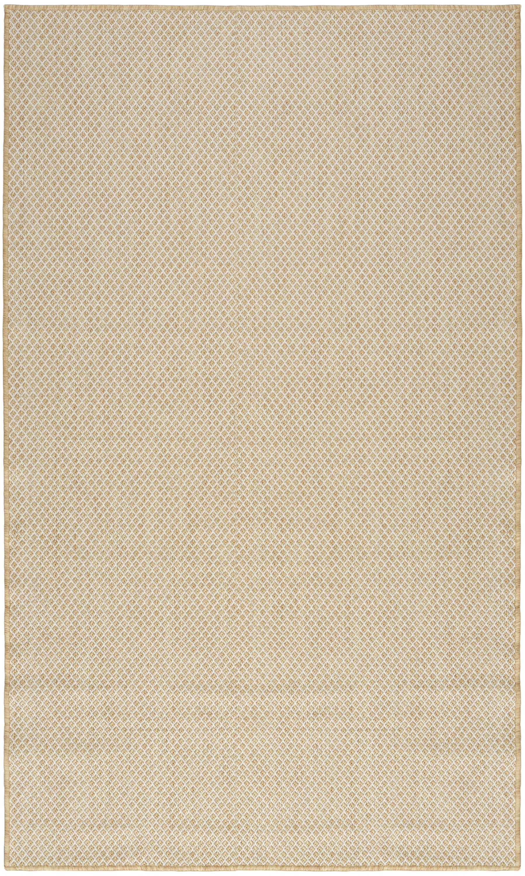 Nourison Courtyard 2' x 3' Natural Modern Rug