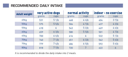 Adult giant dog feeding guide