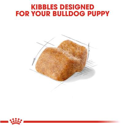 Bulldog Puppy Dry Dog Food