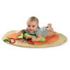 Simply Bright Starts™ Fox & Friends Activity Gym
