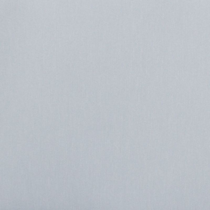 Plain pale-gray textured surface (wall or paper) showing faint vertical grain, occupying the entire frame, evenly lit with soft diffuse light, no other objects or features visible.