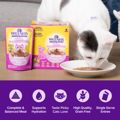 The benefits of Wellness Appetizing Entrees  Chicken & Lamb