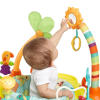 Springin� Safari™ Bounce-A-Round™ Entertainer