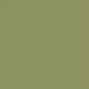 Olive-green panel fills the entire frame, displaying a uniform, untextured surface; plain, featureless field under neutral lighting with no visible surroundings.