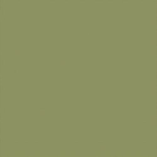 Olive-green panel fills the entire frame, displaying a uniform, untextured surface; plain, featureless field under neutral lighting with no visible surroundings.