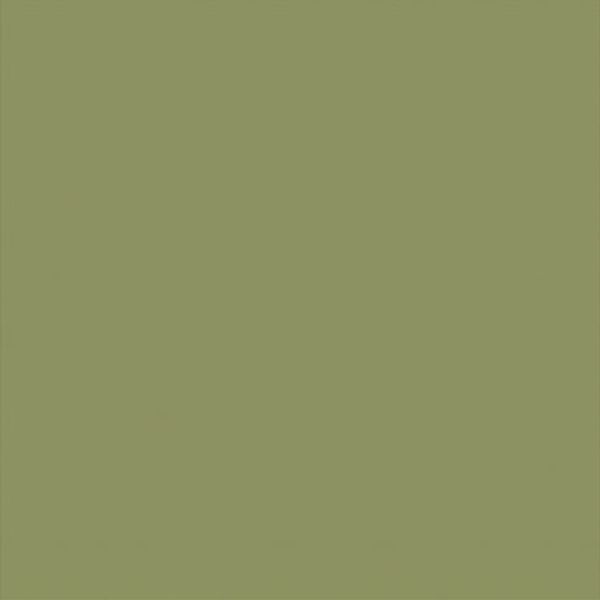 Olive-green panel fills the entire frame, displaying a uniform, untextured surface; plain, featureless field under neutral lighting with no visible surroundings.