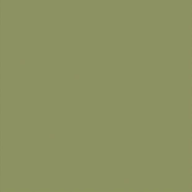 Olive-green panel fills the entire frame, displaying a uniform, untextured surface; plain, featureless field under neutral lighting with no visible surroundings.