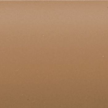 Beige painted wall — flat surface occupying the entire frame, showing subtle texture and tiny specks — evenly lit, neutral indoor setting with no visible furnishings or windows.