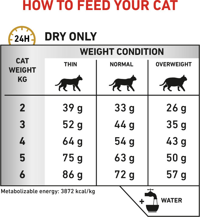 Feeding Guide