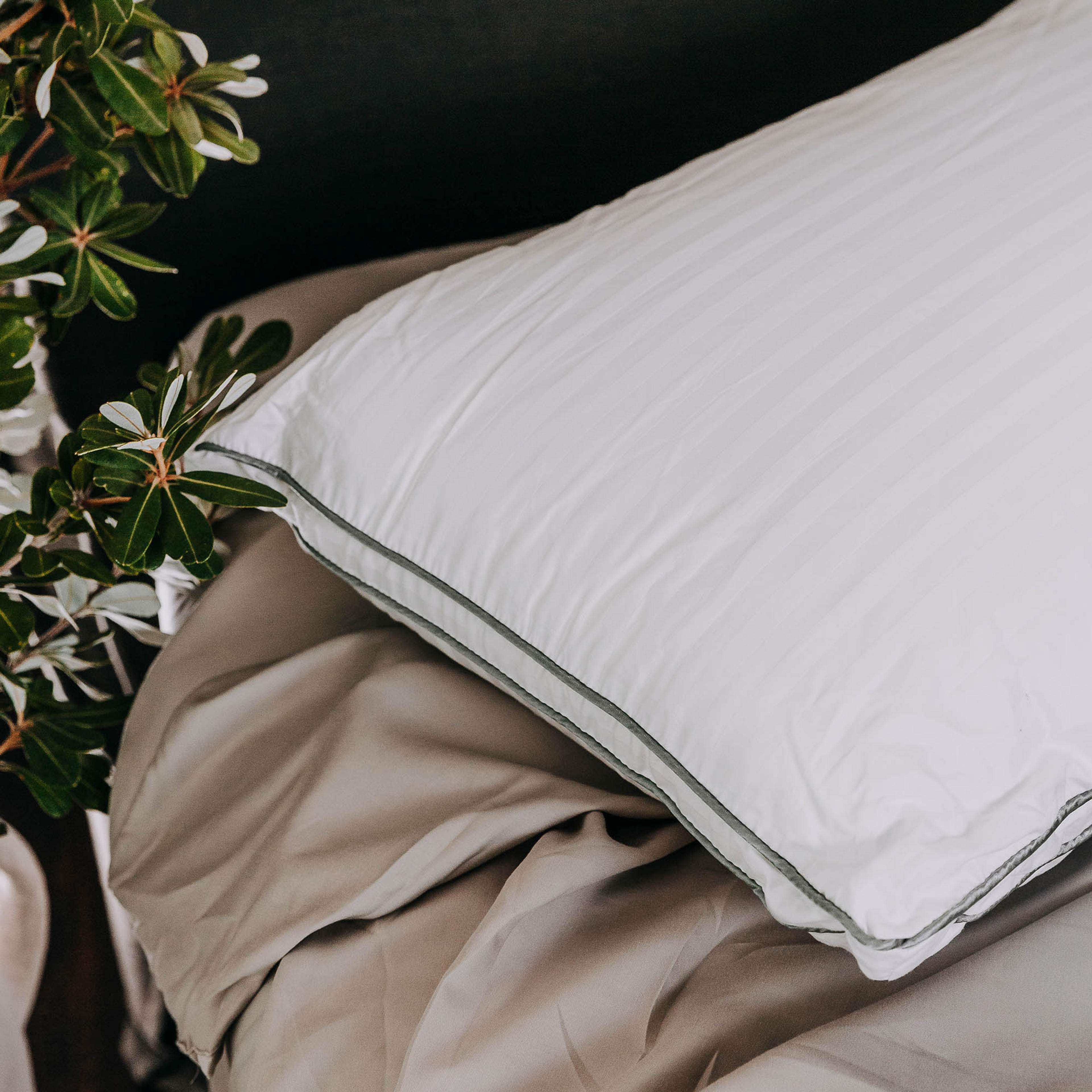 Lifestyle image of the  Bambi Moodmaker Superior Pillow from Forty Winks