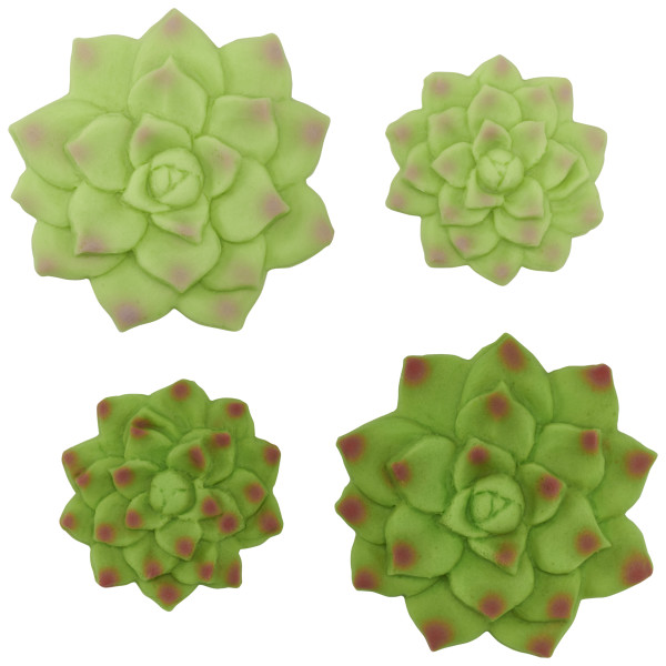 Succulents Sweet Décor® Edible Decorations
