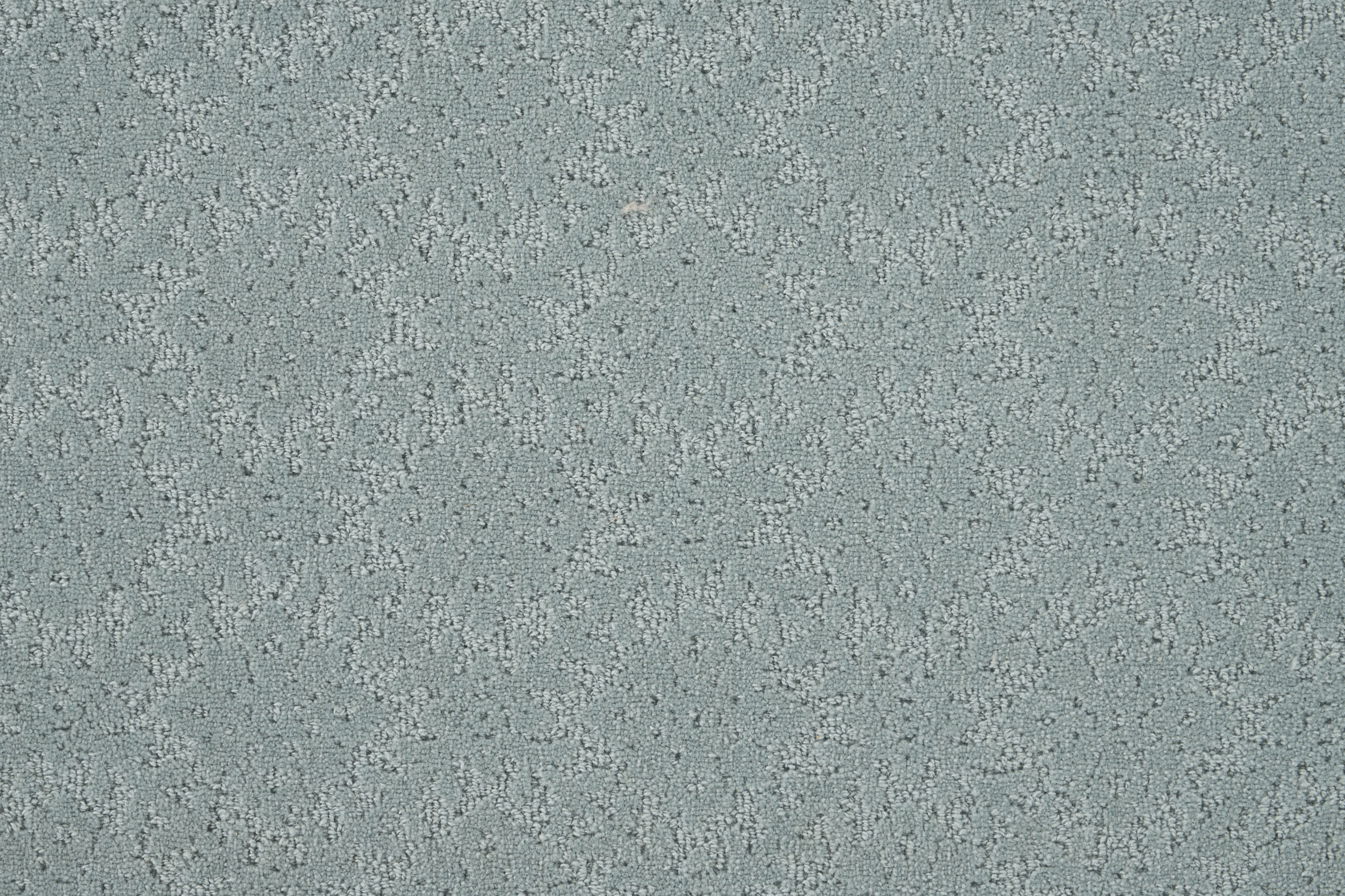color-rug1