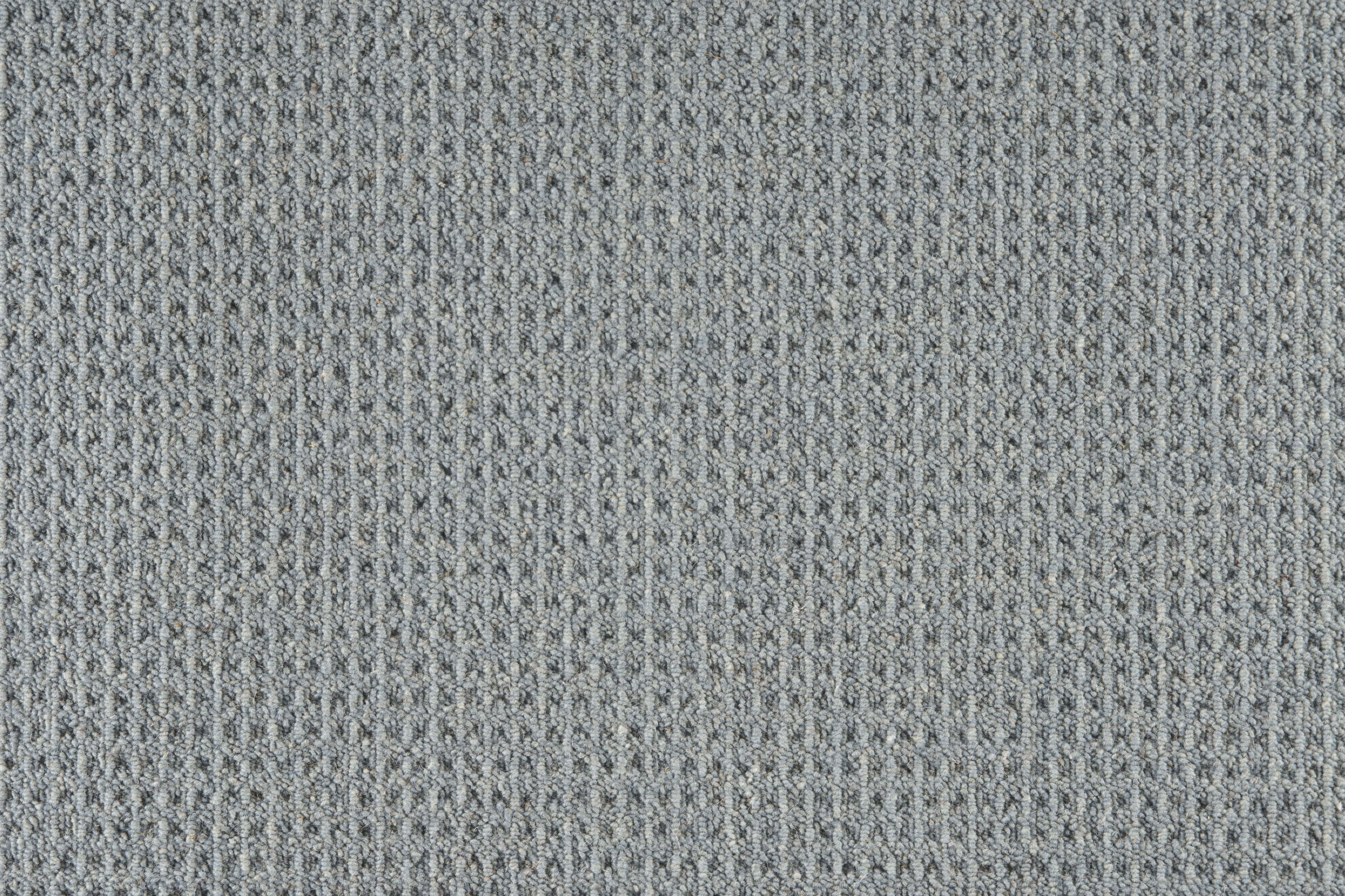 color-rug1