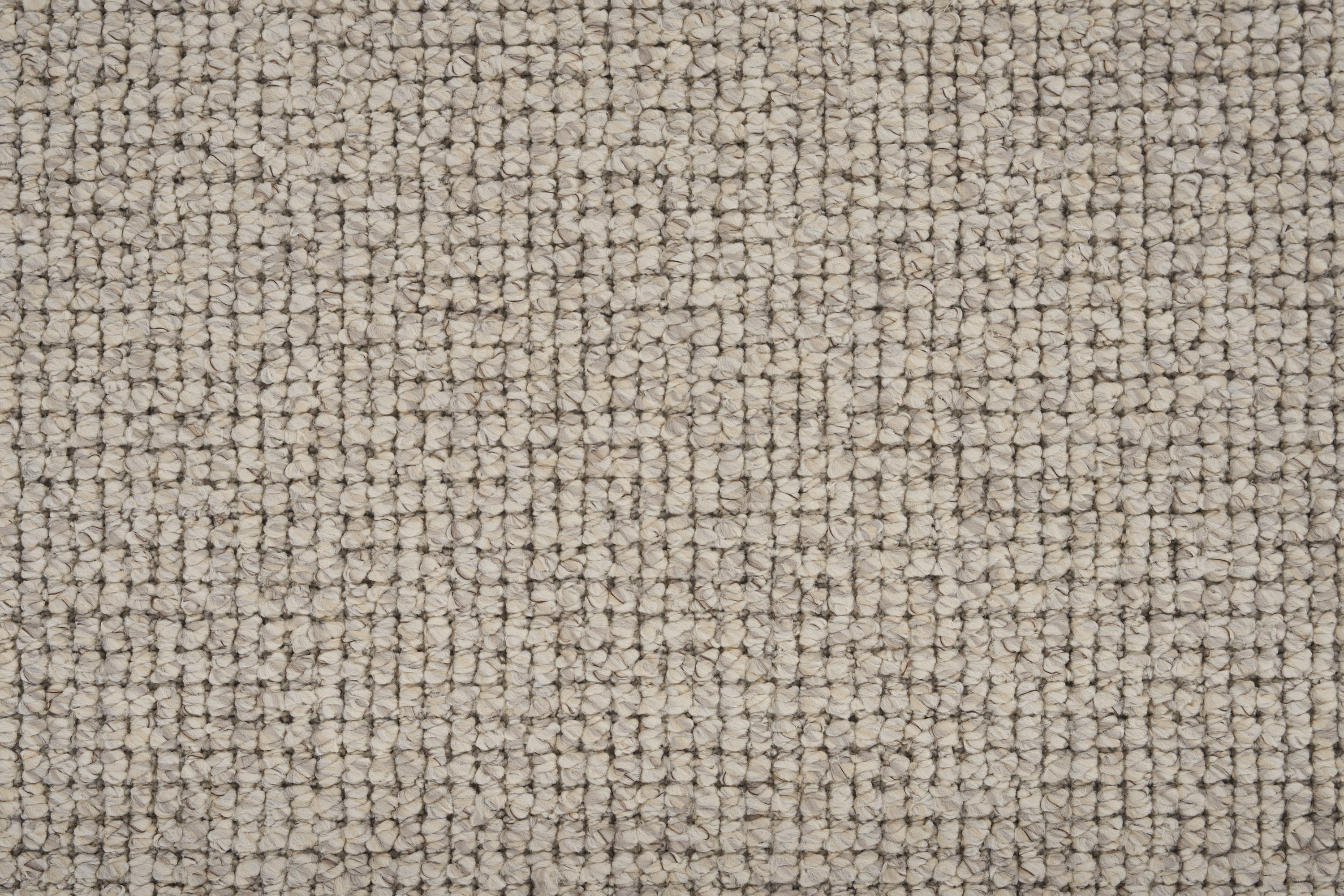 color-rug1
