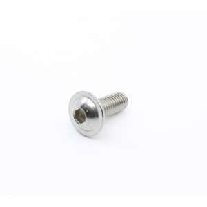 Screw M8X20 Low-Head Iso 7380 Ss