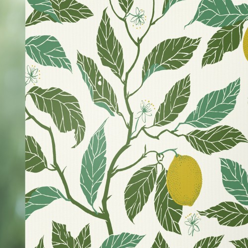 Citrus 5333 Roller Blind