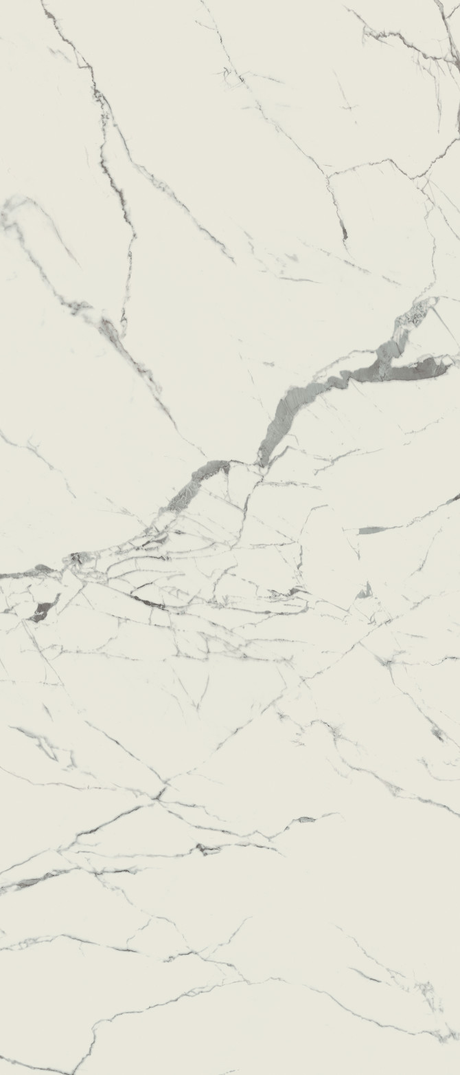 Valentina Statuario 48×110 Slab Polished Rectified