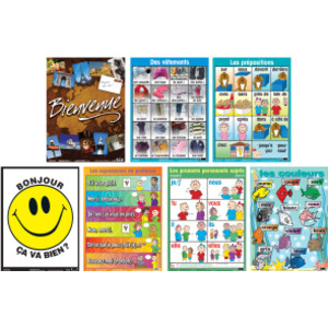 French Essential Classroom Posters Set II