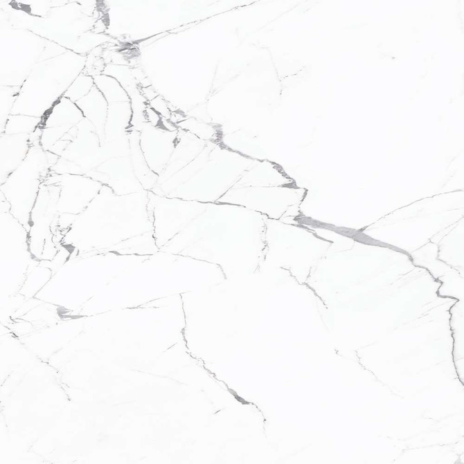 Valentina Statuario 48×48 Slab Matte Rectified