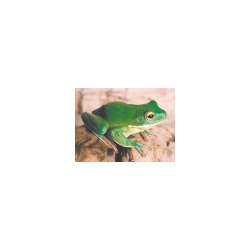 s--5ILMr88d--/smjkgv7mwawqbotjhwcx.jpg
