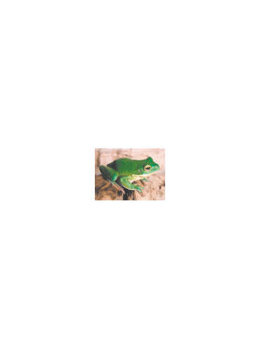 s--5ILMr88d--/smjkgv7mwawqbotjhwcx.jpg