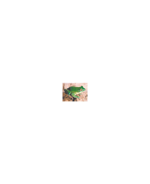 s--5ILMr88d--/smjkgv7mwawqbotjhwcx.jpg
