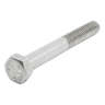 Screw M5X40 Te Uni 5739 Aisi