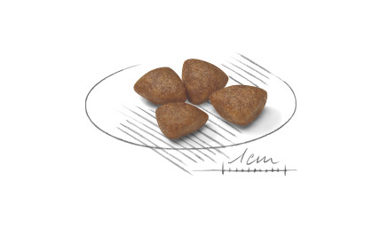 Mini Starter Mother & Babydog kibble